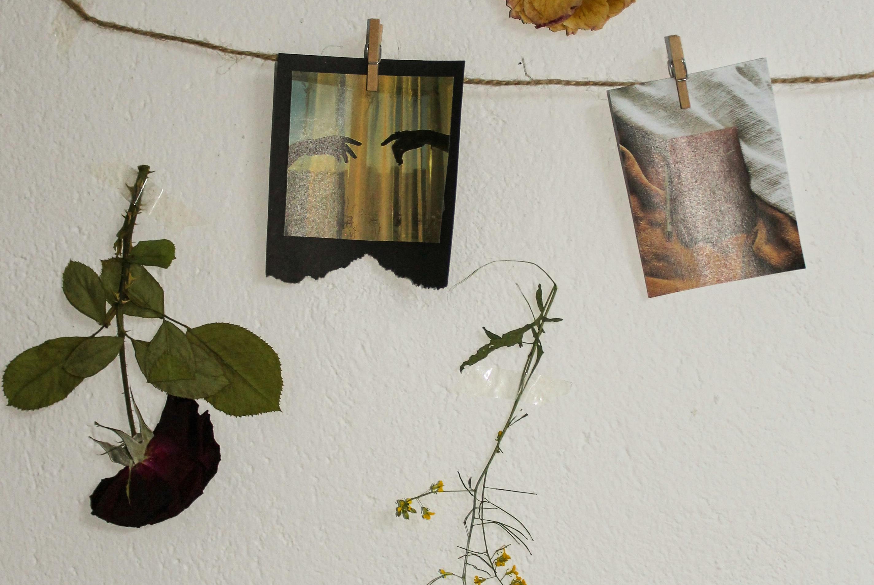 Dried rose stem and wilted flowers hanging beside two vintage-style photographs clipped to a twine line on a white wall.