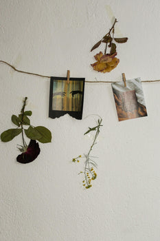 Dried rose stem and wilted flowers hanging beside two vintage-style photographs clipped to a twine line on a white wall.