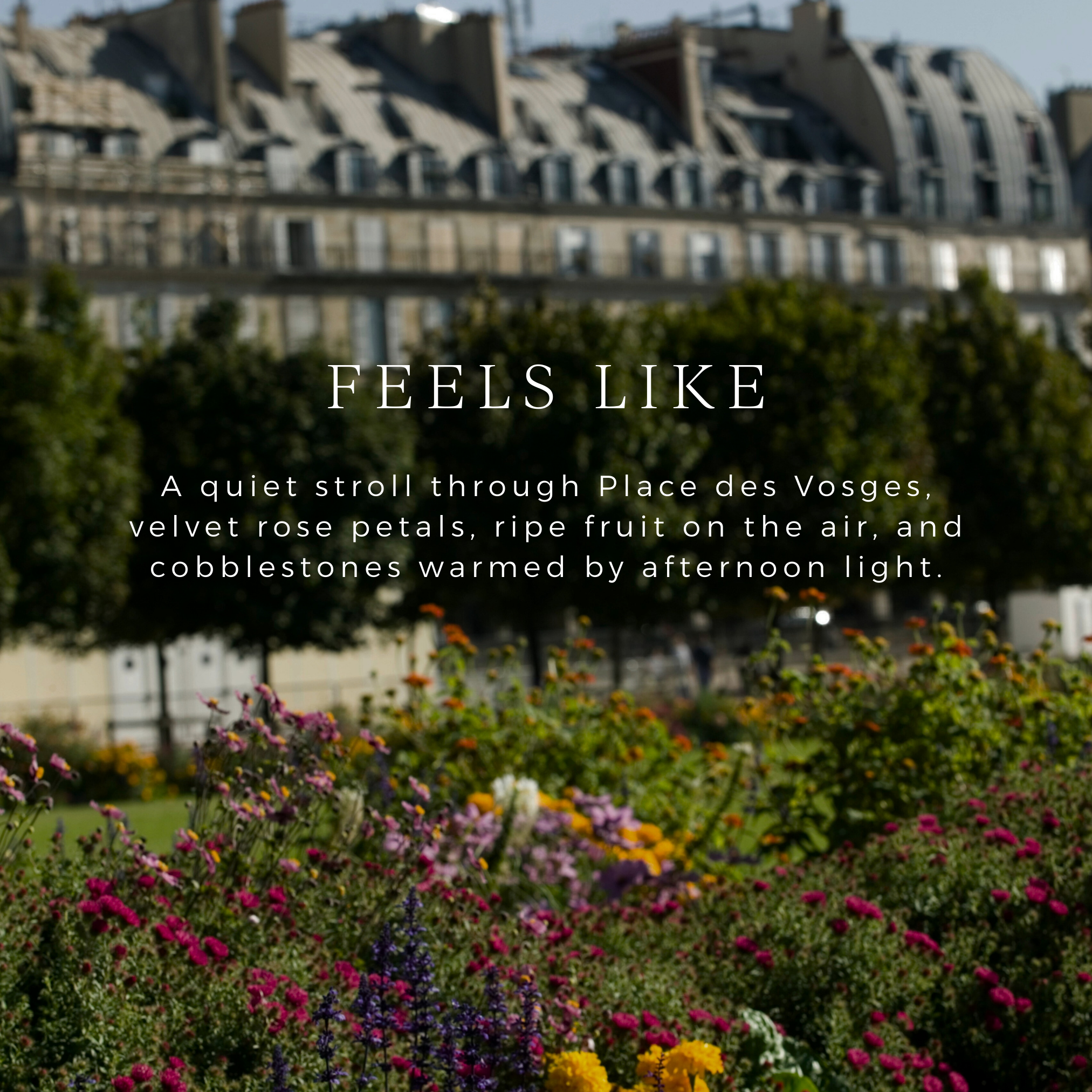 Kerzon Eau de Parfum Place des Vosges