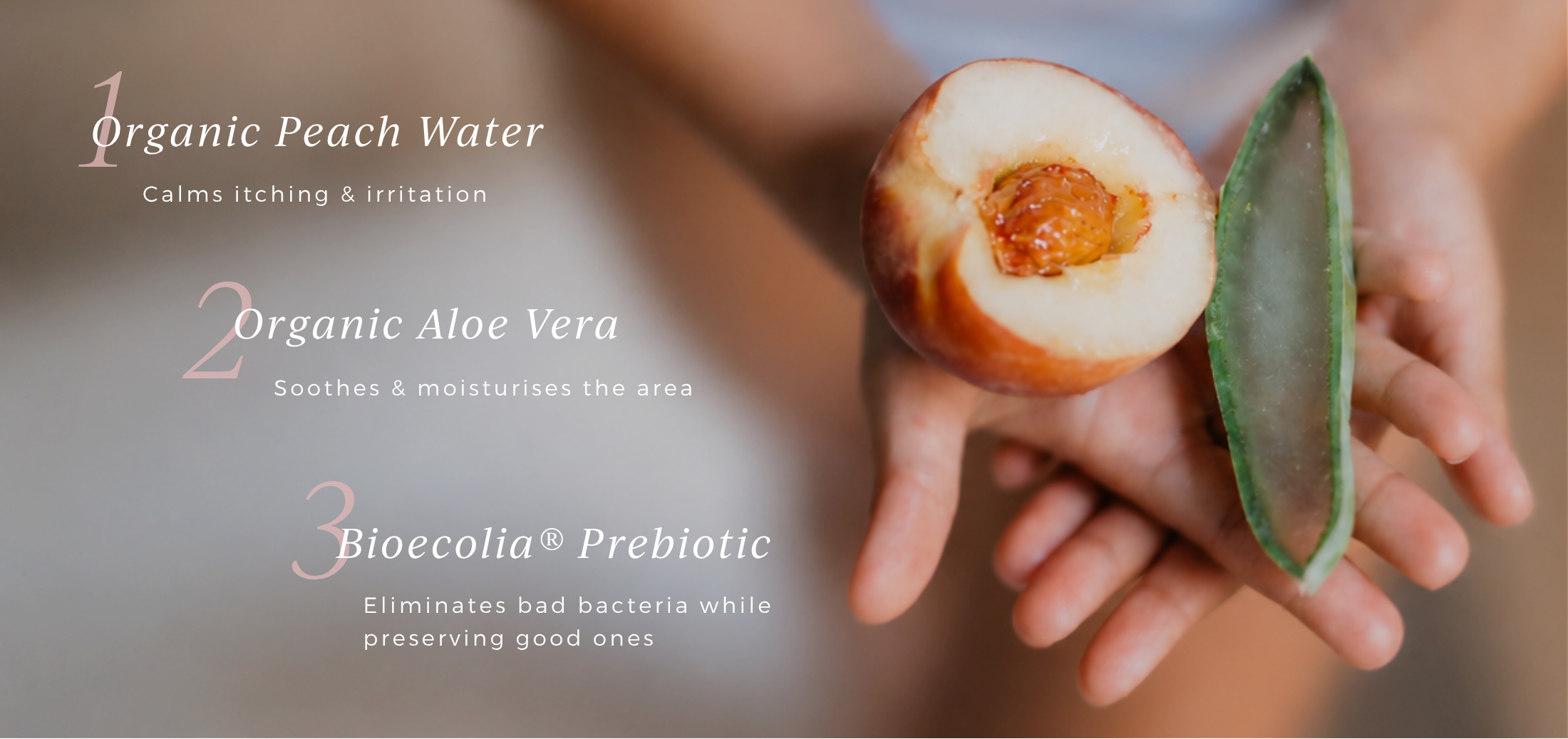 a pair of hands holding peach and aloe vera