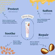 a tube of colourless lipbalm and its ingredients and uses